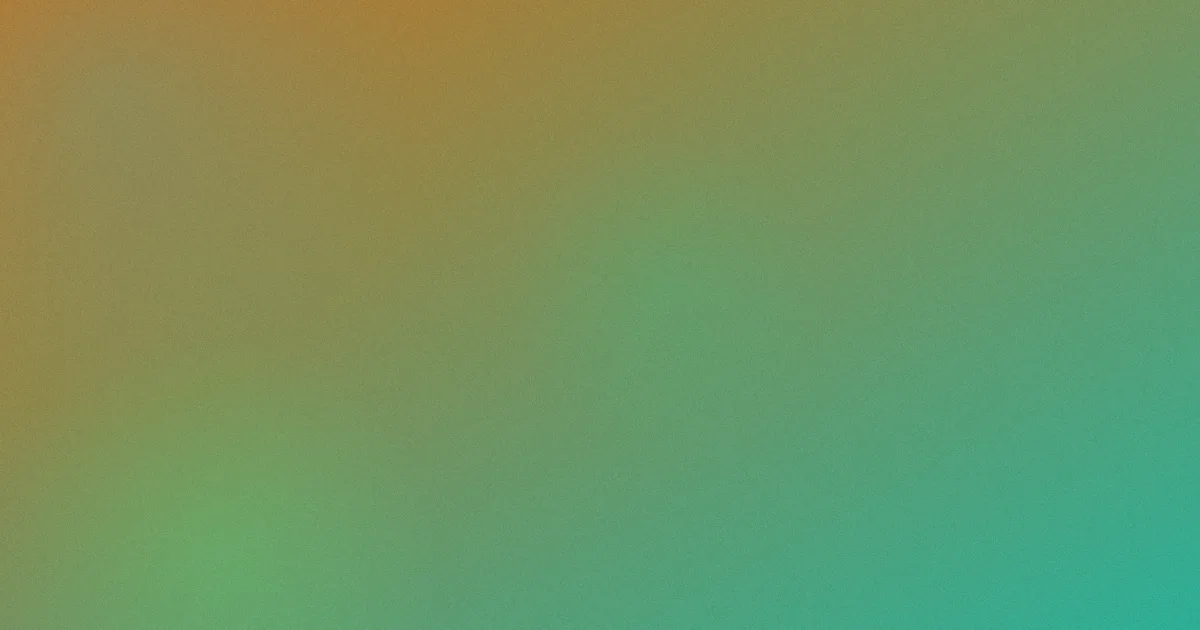 bich怎么用？我的检索体验