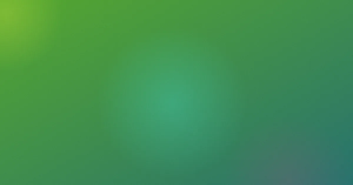 贝肯熊怎么用？亲子观看实测
